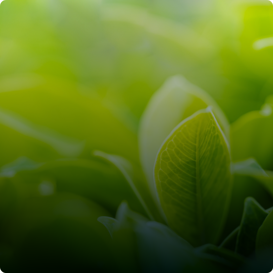 We Care About Each Other - Genergy - Technology Solutions for Utilities
